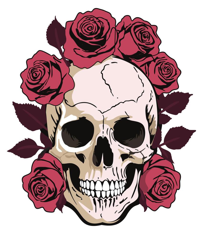 Human skull with pink roses around. Day of the Dead. isolated illustration vector