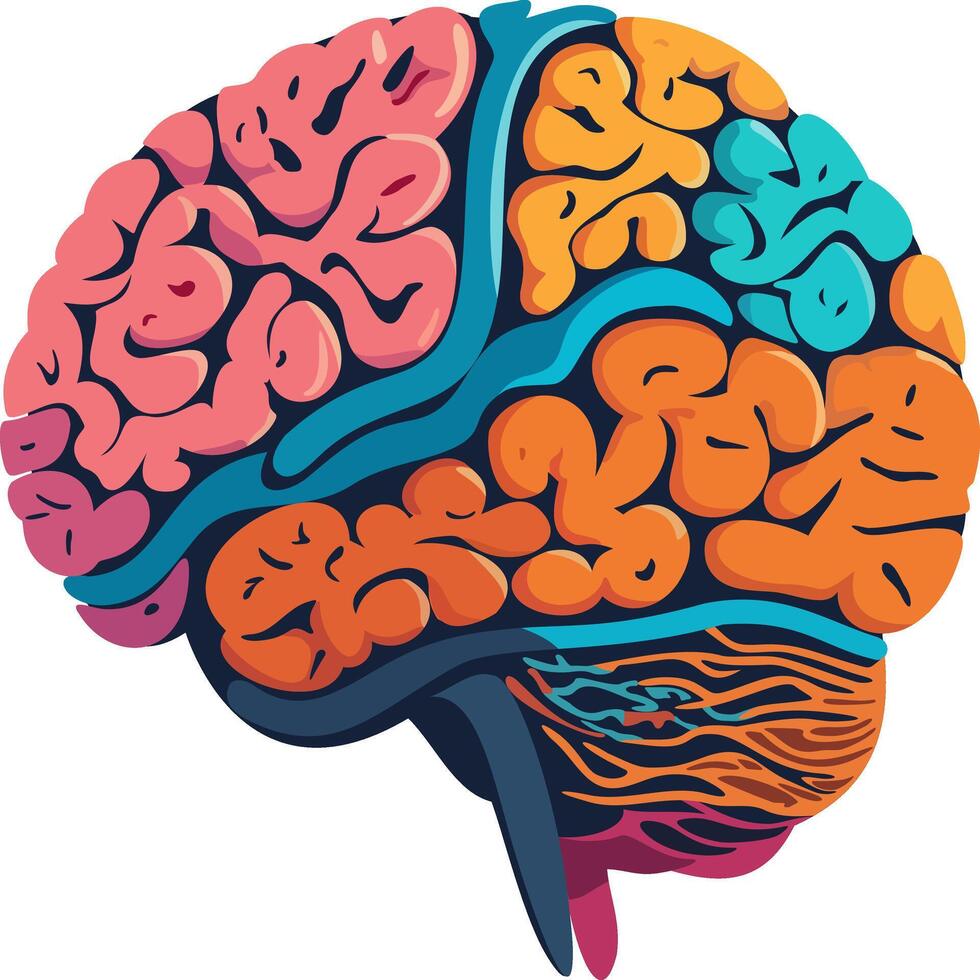 Human brain. Bright illustration isolated on white background vector