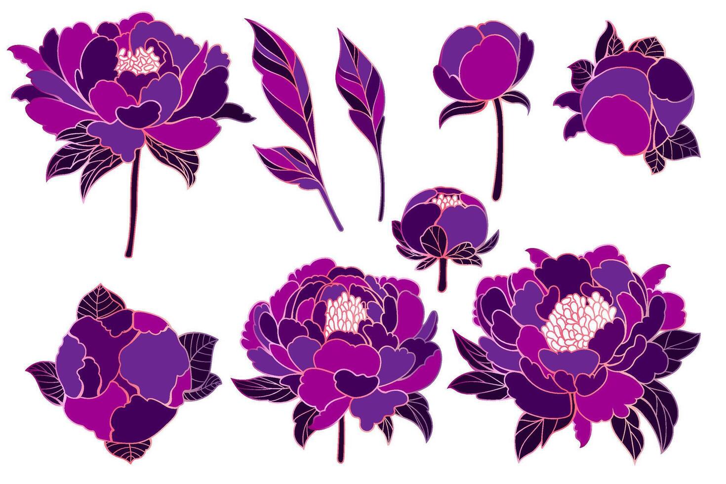 Hand drawn peony with leaves collection perfect for coloring pages. vector