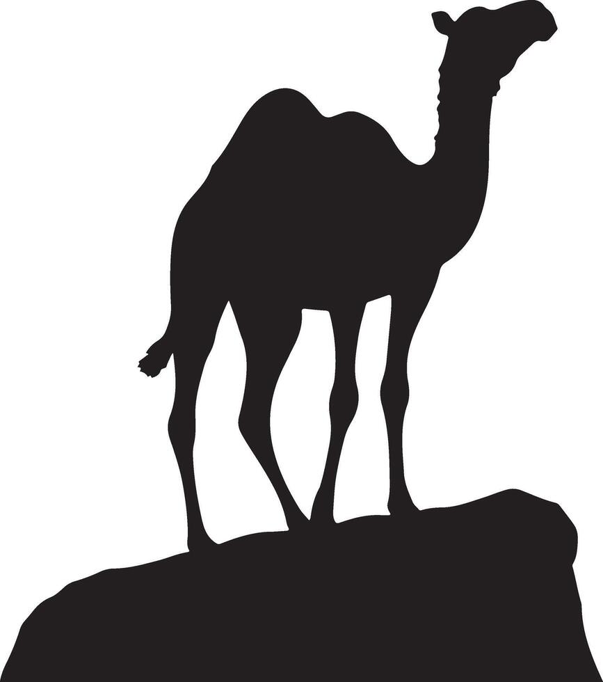 Silhouette of camel on rock vector