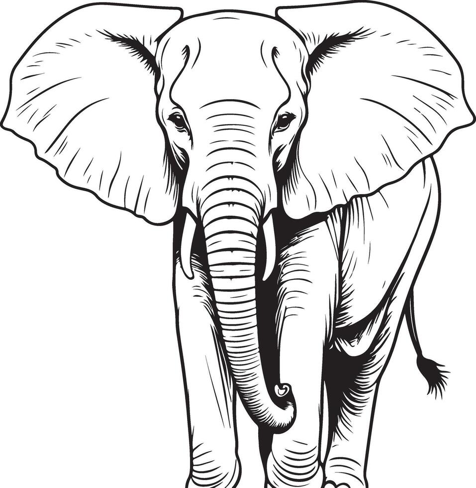An elephant is standing in a drawing style vector