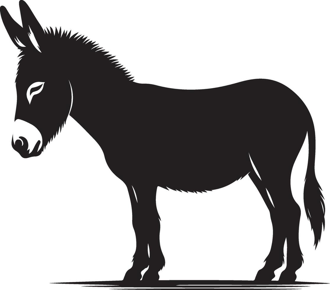 A donkey is standing in front of a white background vector
