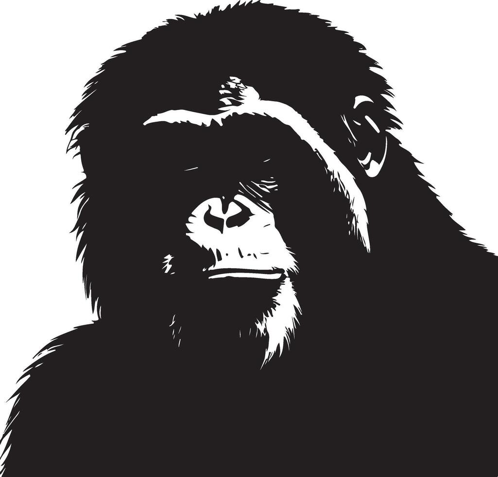 A black and white silhouette of a gorilla vector