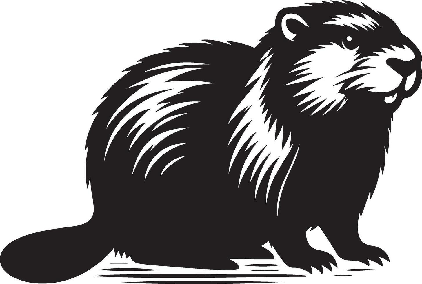 A black and white beaver on a white background vector