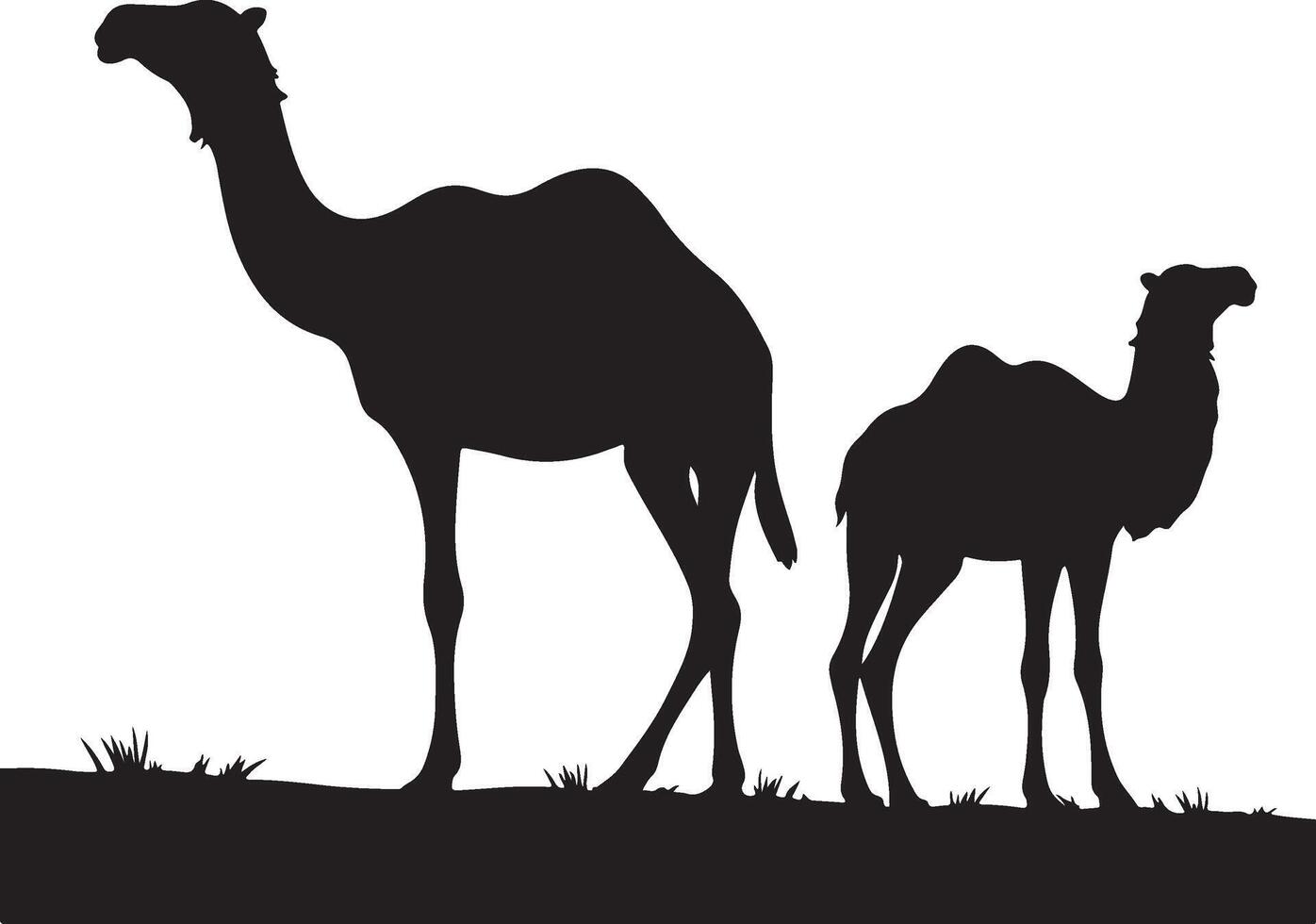 Camels in silhouette on a white background vector