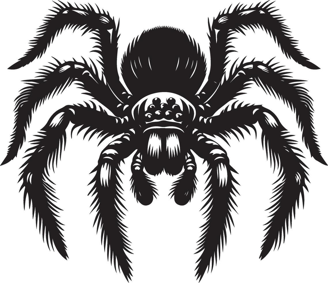 Spider tattoo design vector