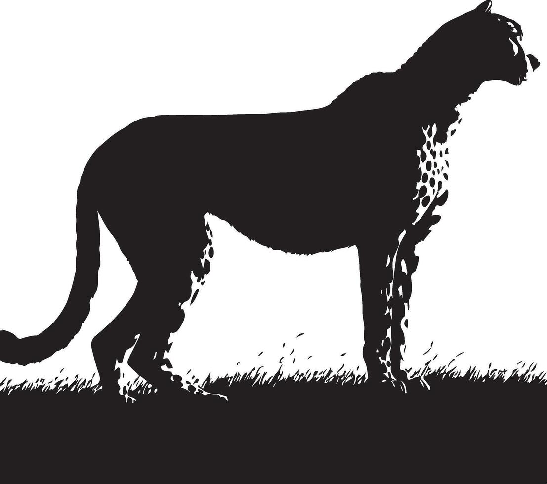 A silhouette of a cheetah standing in the grass vector