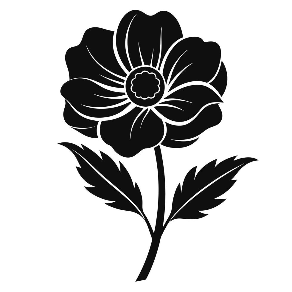 Anemone flower illustration vector