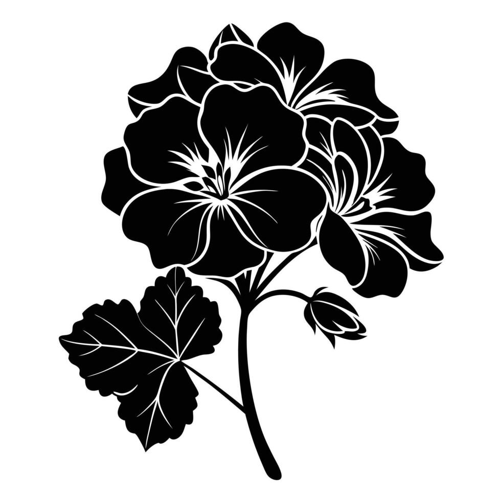 Black and white geranium flower vector