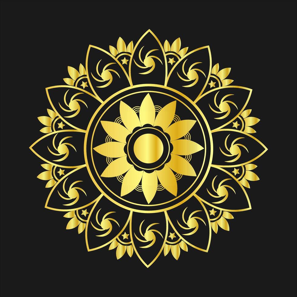 New Mandala design vector