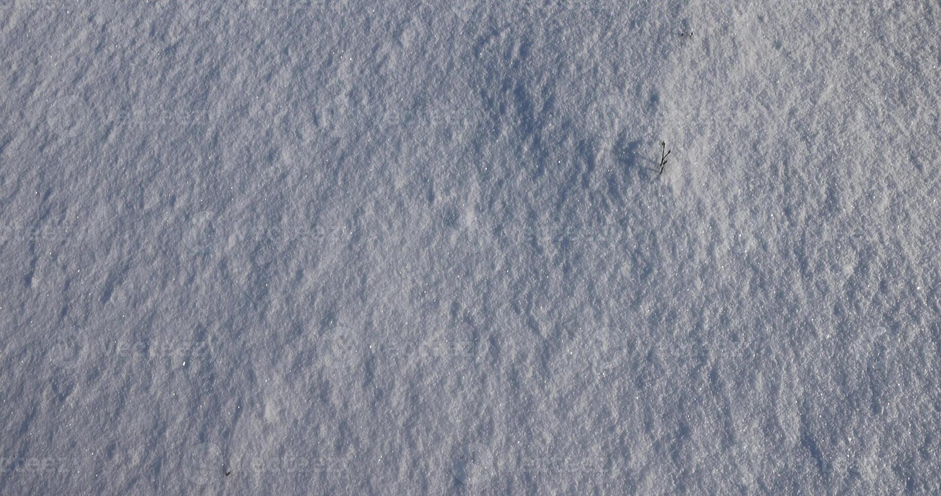 snow after snowfall in sunny weather photo