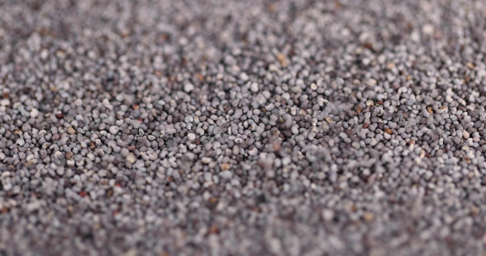 poppy seeds that are used in cooking and dessert production photo