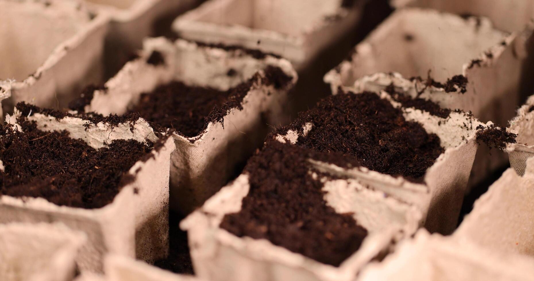 square containers for seedlings in agriculture photo