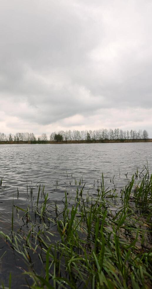 waves on the surface of the river in cloudy spring weather photo