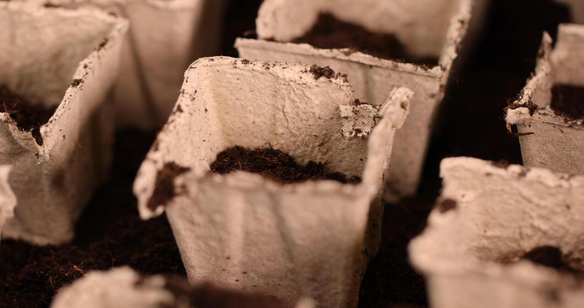 square containers for seedlings in agriculture photo