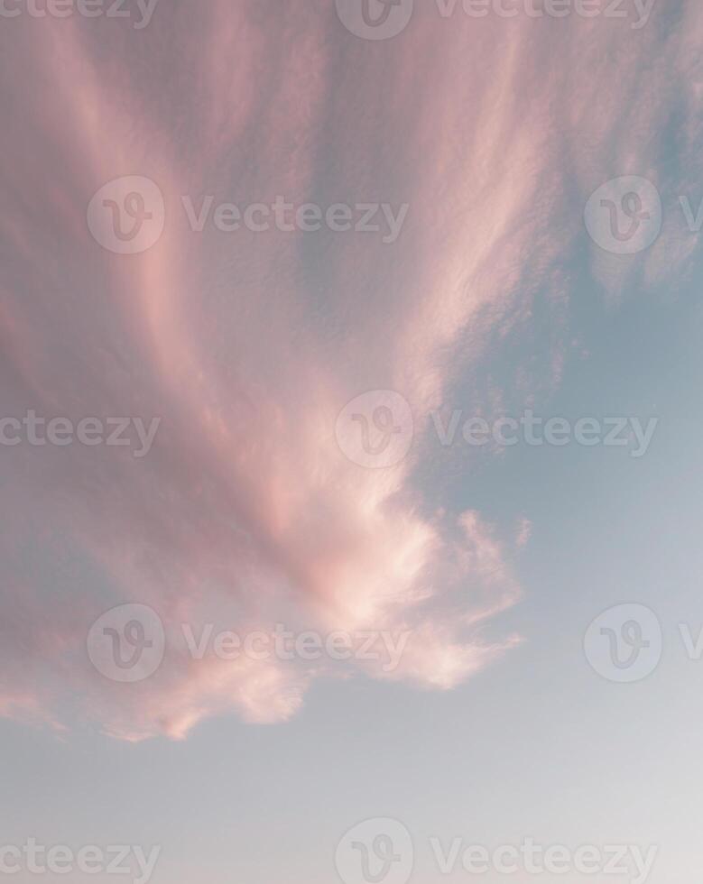 A pink cloud in the sky above a beach photo