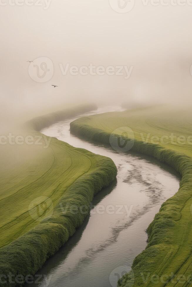 A river runs through a green field with birds flying above photo