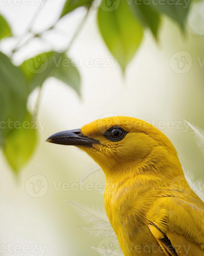 A yellow bird's head with a blurred background of green leaves. photo