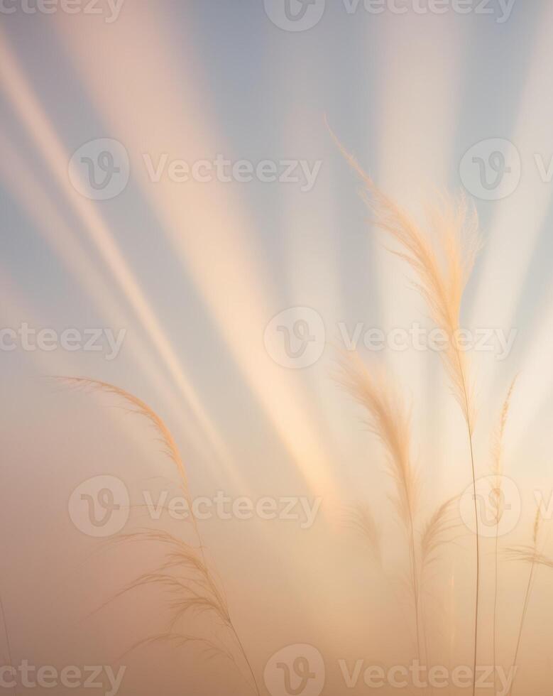 Colorful Light Rays in a Misty Environment. photo
