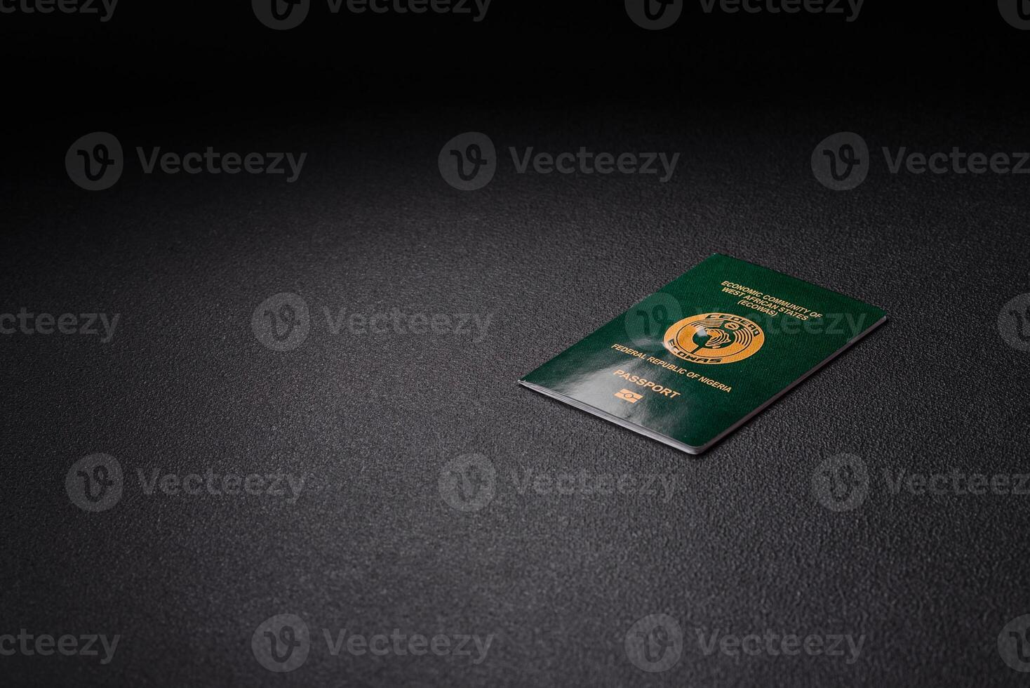 International passport of a citizen Nigeria photo