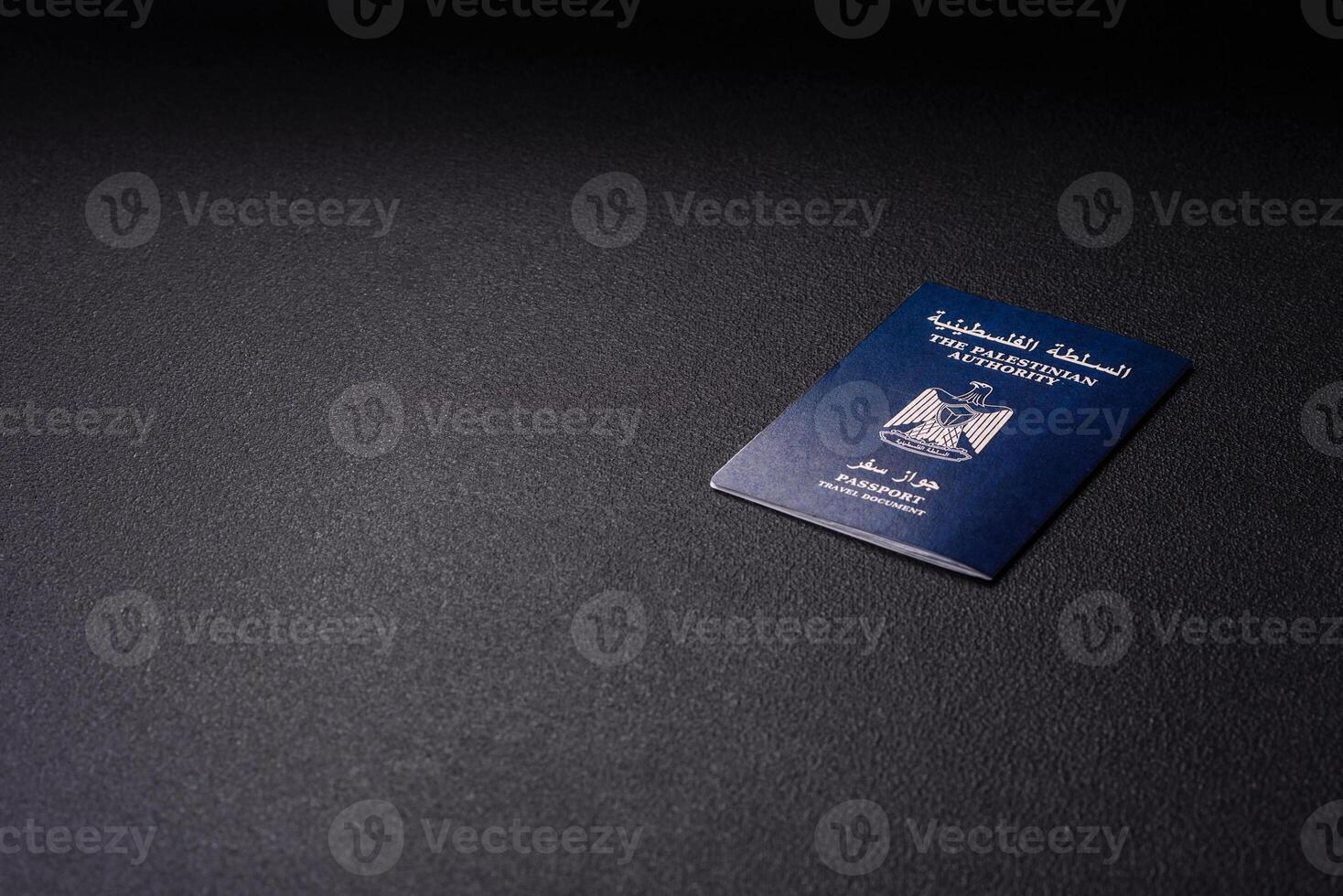 International passport of a citizen Palestine photo