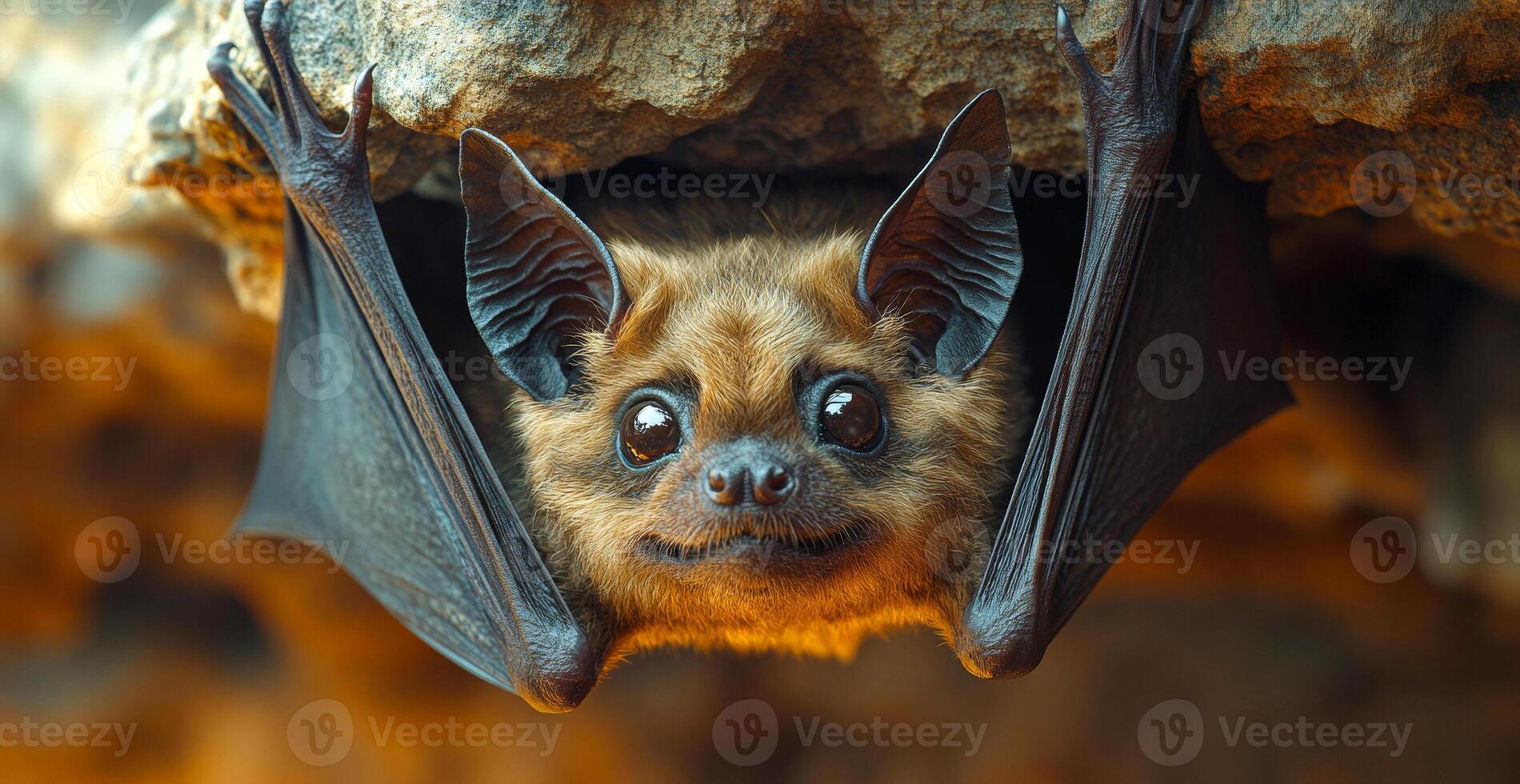 Curious bat hanging upside down in a rocky cave. A small bat hangs upside down from a rocky surface, its large eyes reflecting the surrounding light in a dim cave. photo