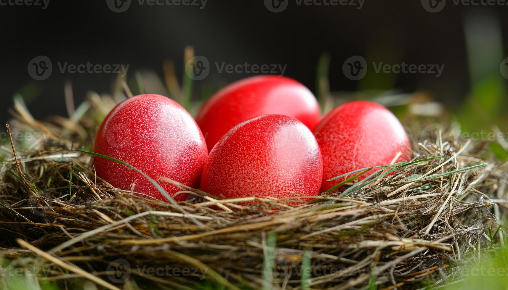 Nest with bright red eggs resting on green grass. Four vibrant red eggs are nestled in a twig and grass nest, set against a soft green background, showcasing a springtime feel. photo