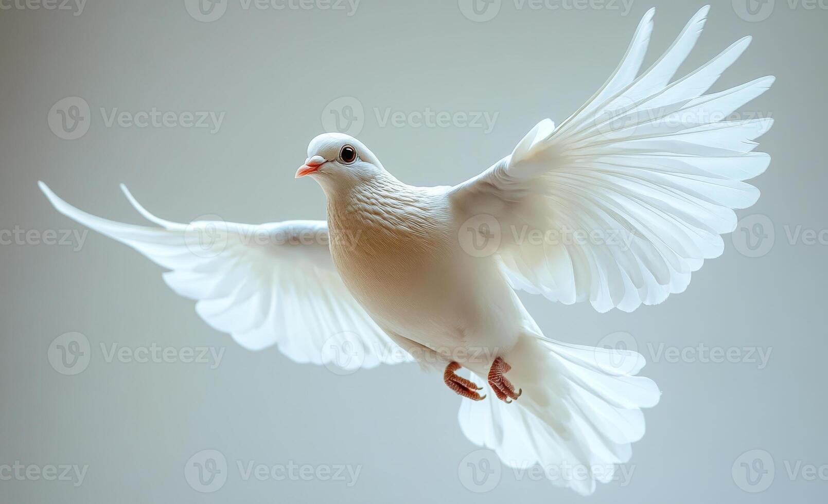 A white dove is flying in the air. The bird has a red beak and is surrounded by a white background. Concept of freedom and peace, as the dove is a symbol of hope and purity photo