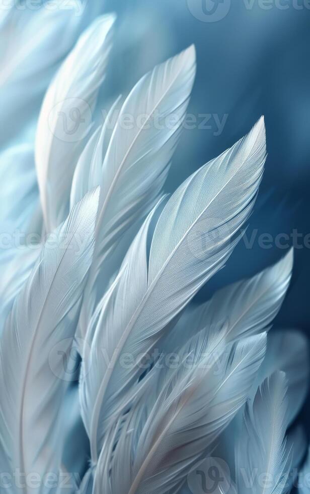 A close up of a flock of white feathers, with the blue background providing a striking contrast. The feathers are arranged in a way that creates a sense of movement and fluidity. photo