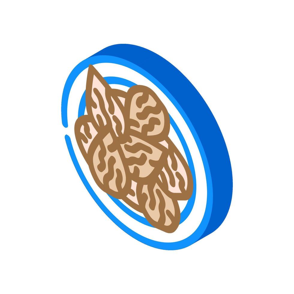 almonds vegan food isometric icon illustration vector
