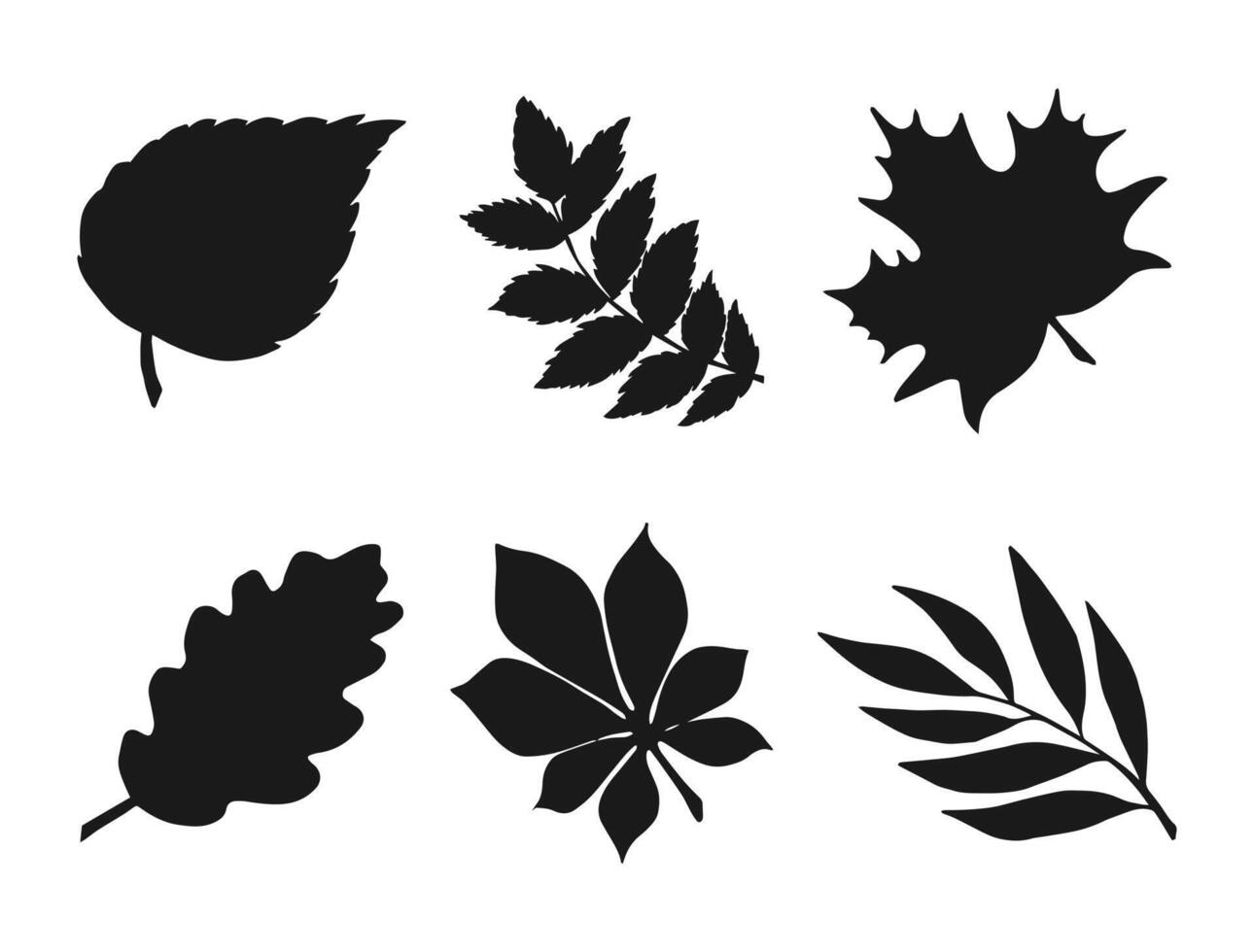 Collection of black leaf shapes on white background. Set of illustrations of oak, maple, birch, willow, rowan, chestnut leaves. Design elements for logo, banner, poster, postcard. vector