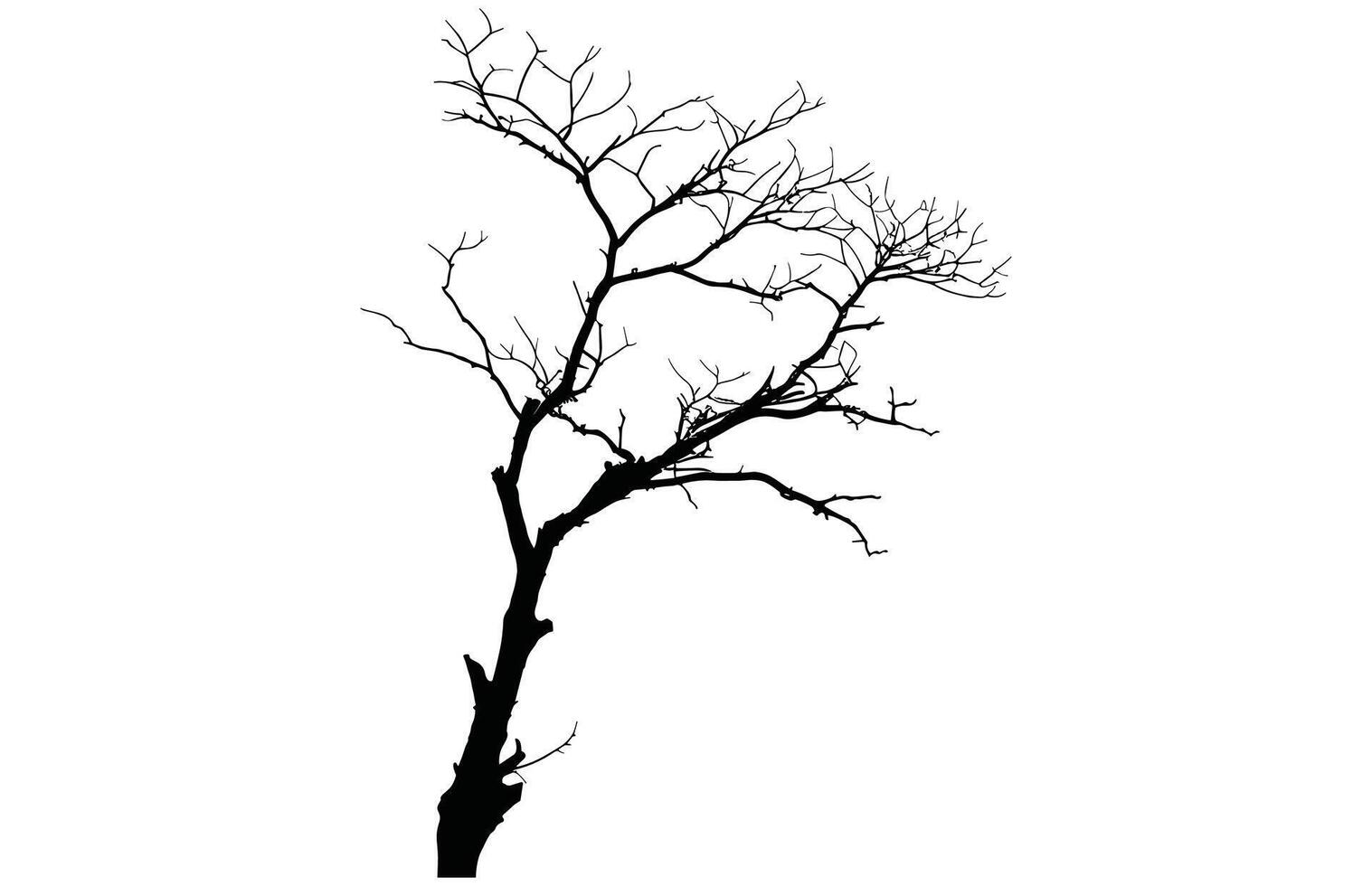 Dead Tree Silhouette - Eerie Nature Outline Stock Art vector
