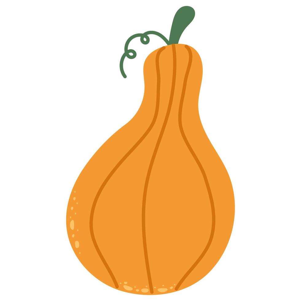 Cute hand drawn pumpkin. Useful autumn vegetable. Simple funny cartoon clipart isolated on white vector
