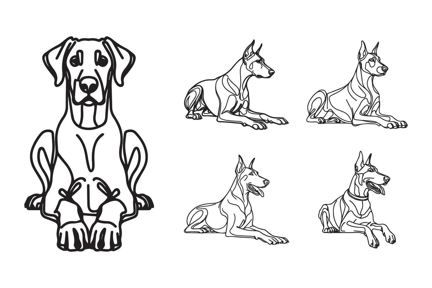 Hand-drawn clipart features a fierce Doberman in a relaxed position vector
