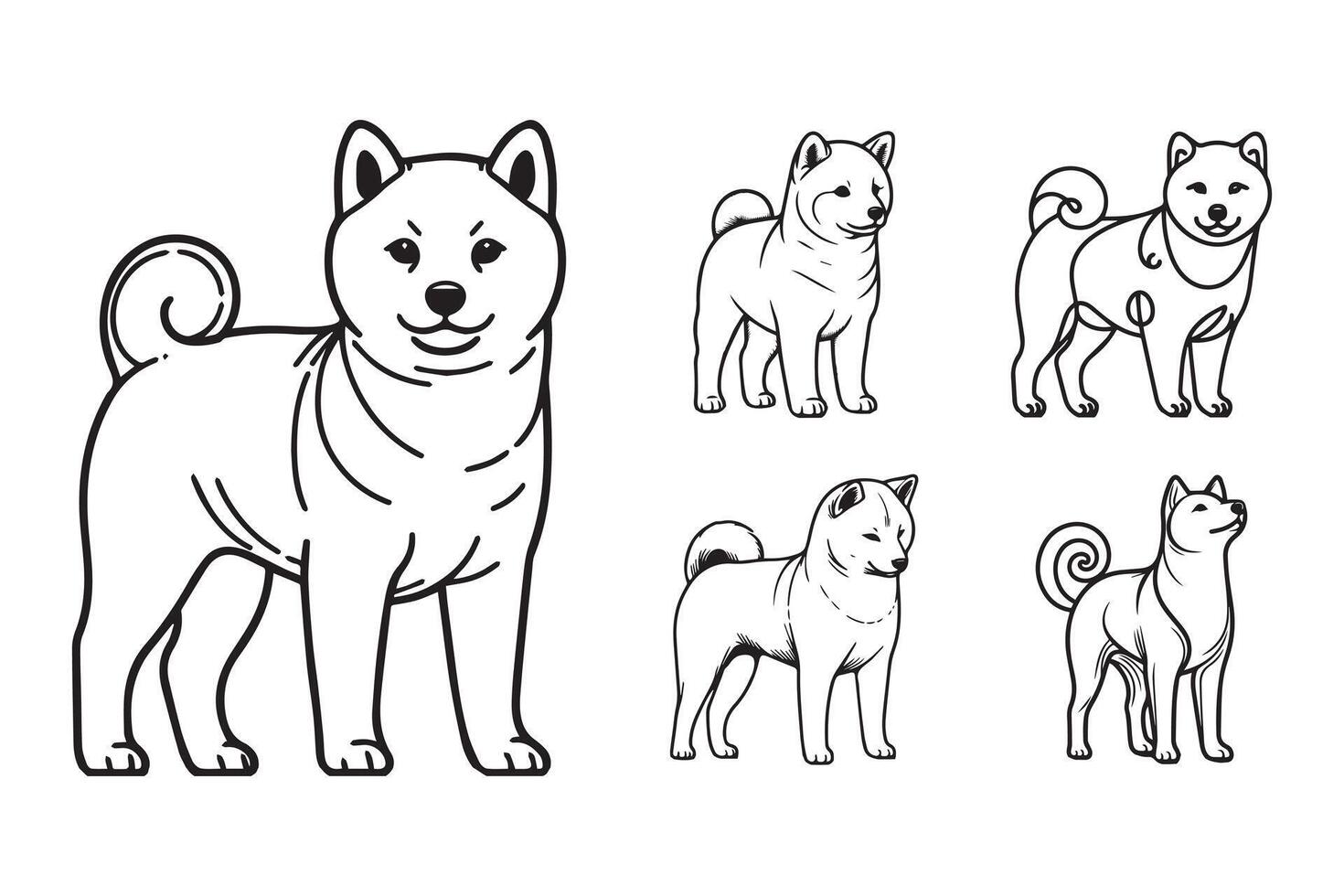Illustration of a Shiba in a classic standing stance vector