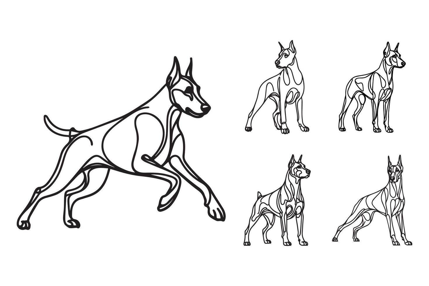 Line Art representation of a fierce Doberman dog in a standing pose vector