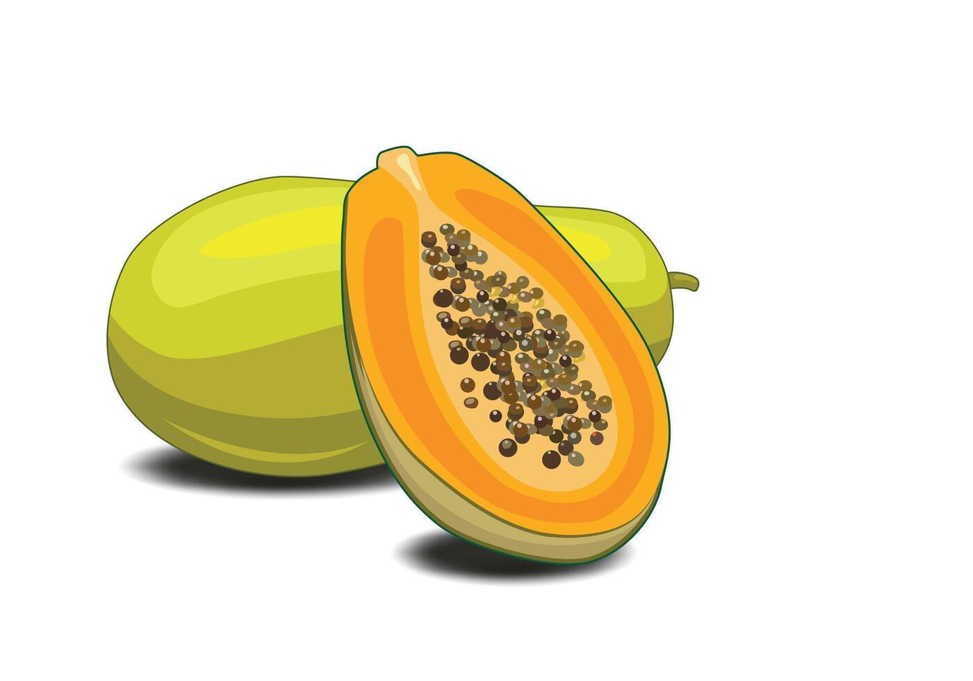 Papaya fruits slice set illustration for design elements. vector