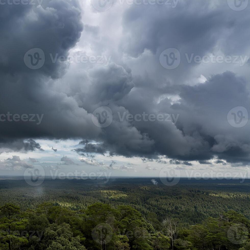 Moody view of dark storm clouds gathering over a vast green forest landscape, creating a dramatic and atmospheric scene. photo