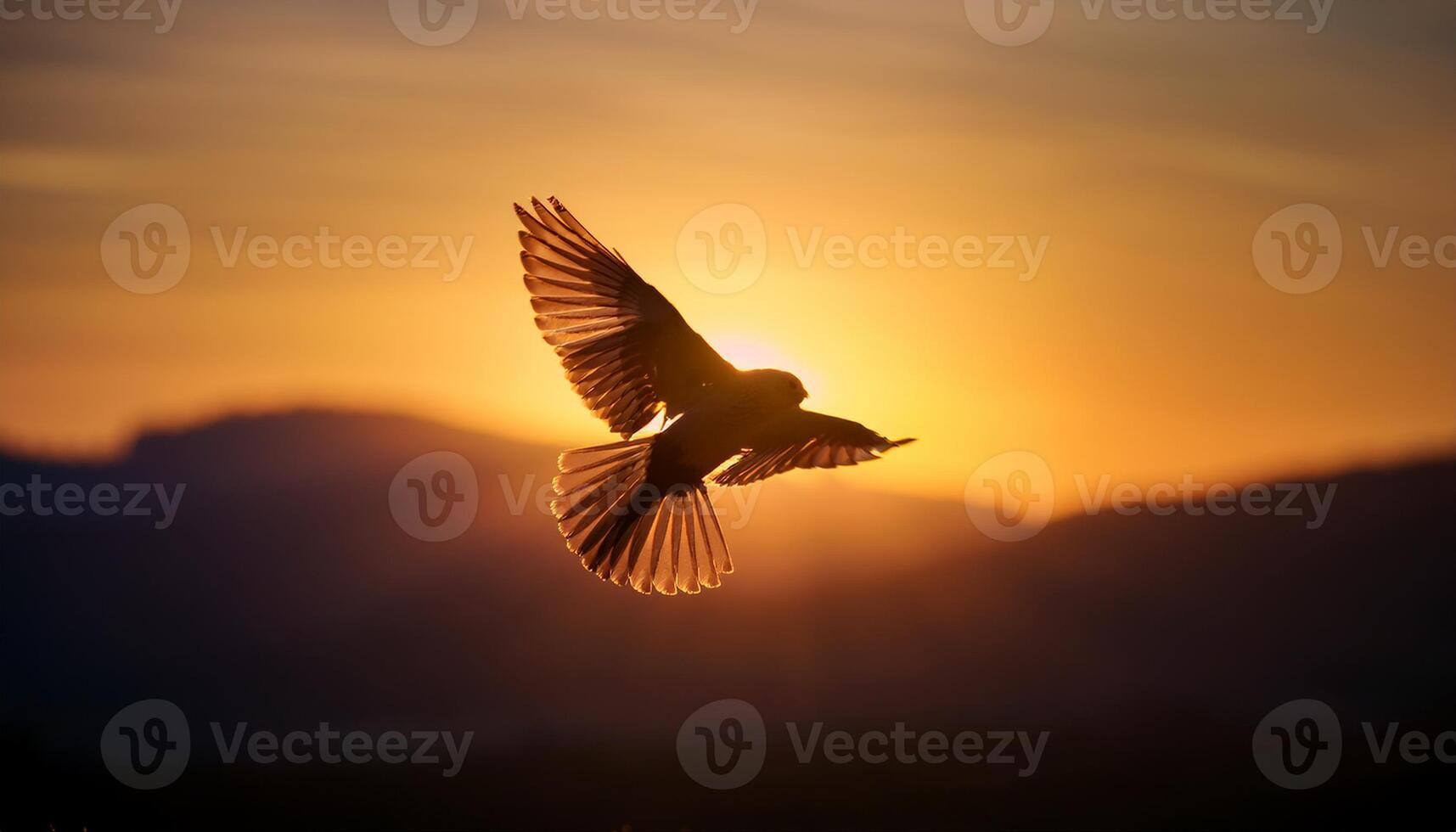 A bird in flight during sunset, with its wings illuminated by the golden light, creating a beautiful silhouette against a glowing sky. photo