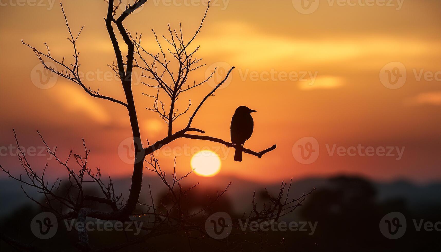 A lone bird perches on a branch silhouetted against a vivid sunset, creating a peaceful and serene scene in nature. photo