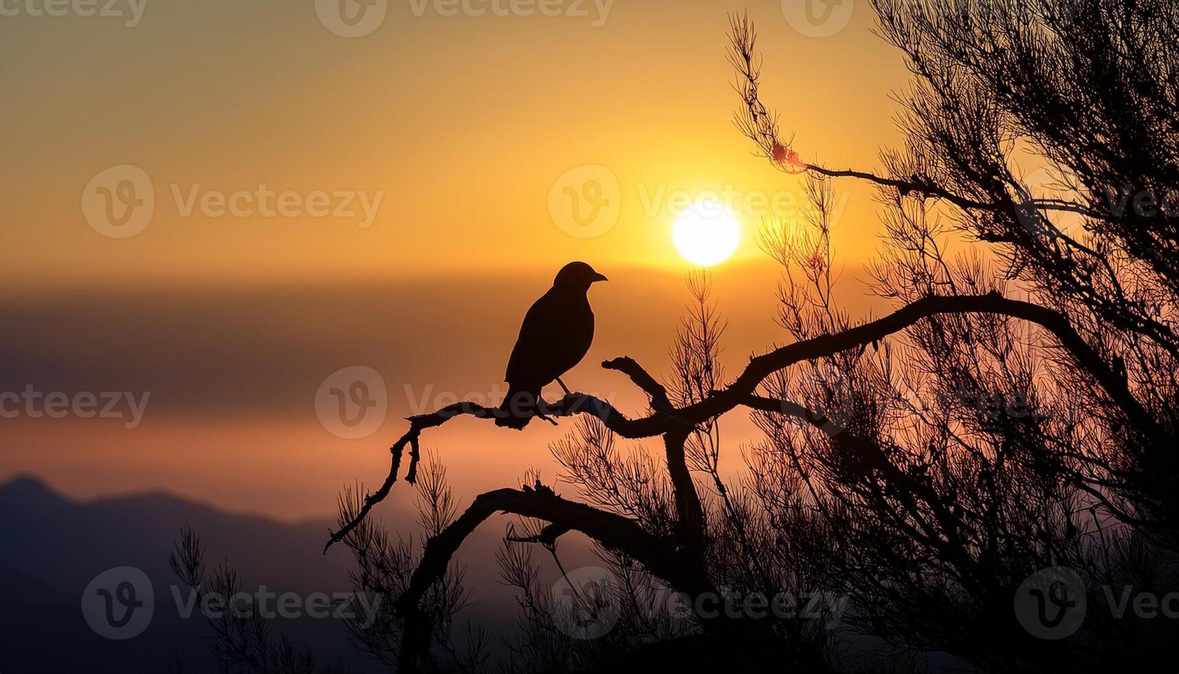 A silhouetted bird perched on a tree branch against a vibrant sunset, with the sun setting behind distant mountains and warm orange hues filling the sky. photo