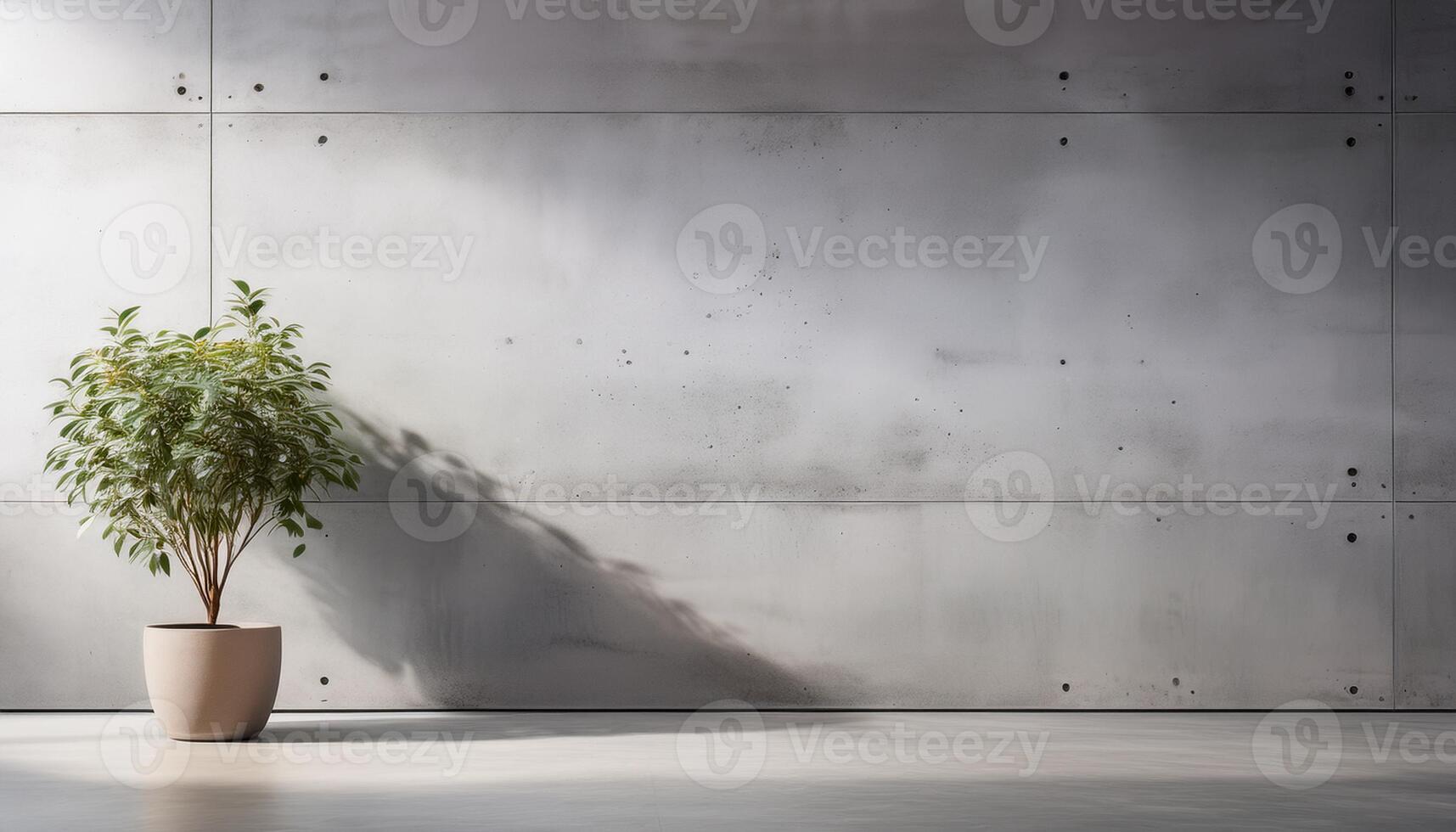 Potted green plant casting a shadow on a minimalistic, industrial-style concrete wall, emphasizing simplicity and modern decor. photo