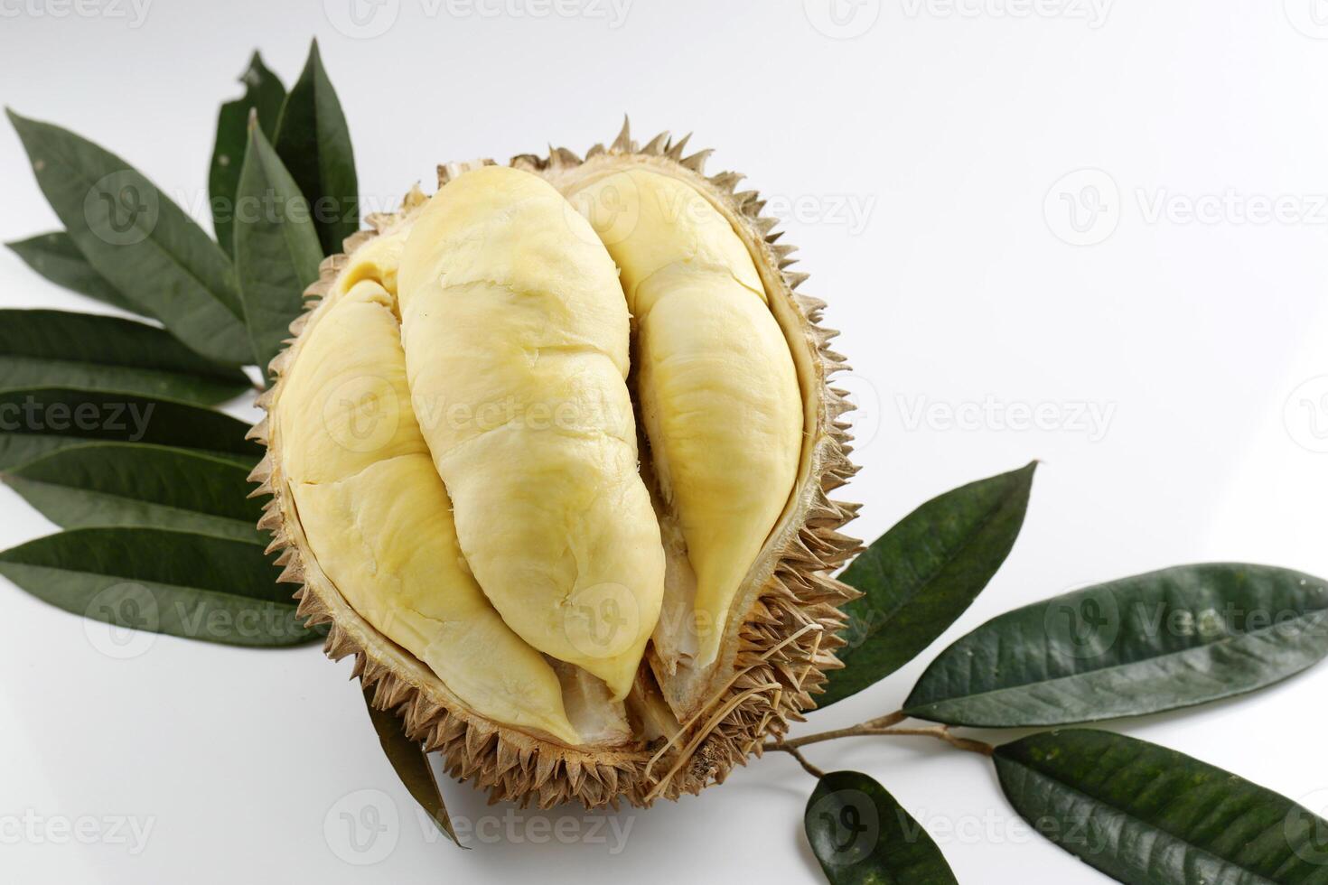 Ripe Durian on White Table photo