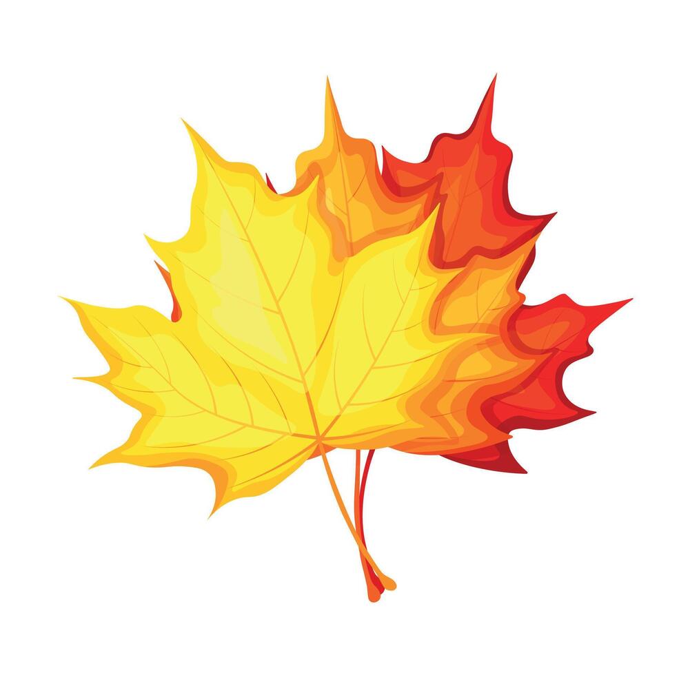 Three autumn leaves in cartoon style. Flat illustration of a bouquet of autumn maple leaves of different colors,yellow, orange, red . Falling leaves. vector
