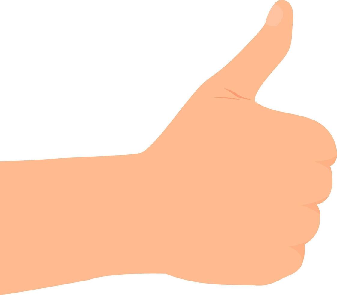 Hand making thumb up gesture. View from the back side of hand. vector