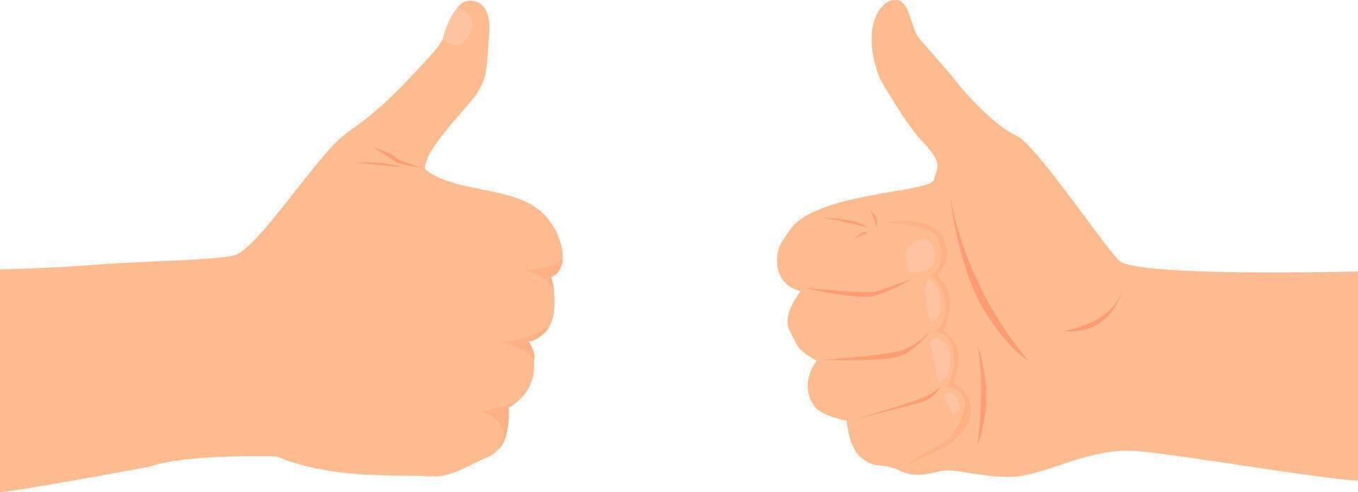 Two hands directed towards each other showing thumb up gesture. vector