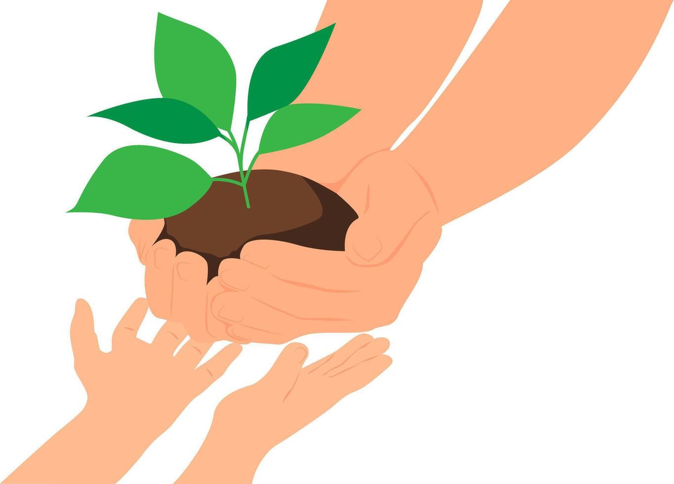 Hands of an adult giving to the hands of a child a plant with green leaves in the soil for planting. vector