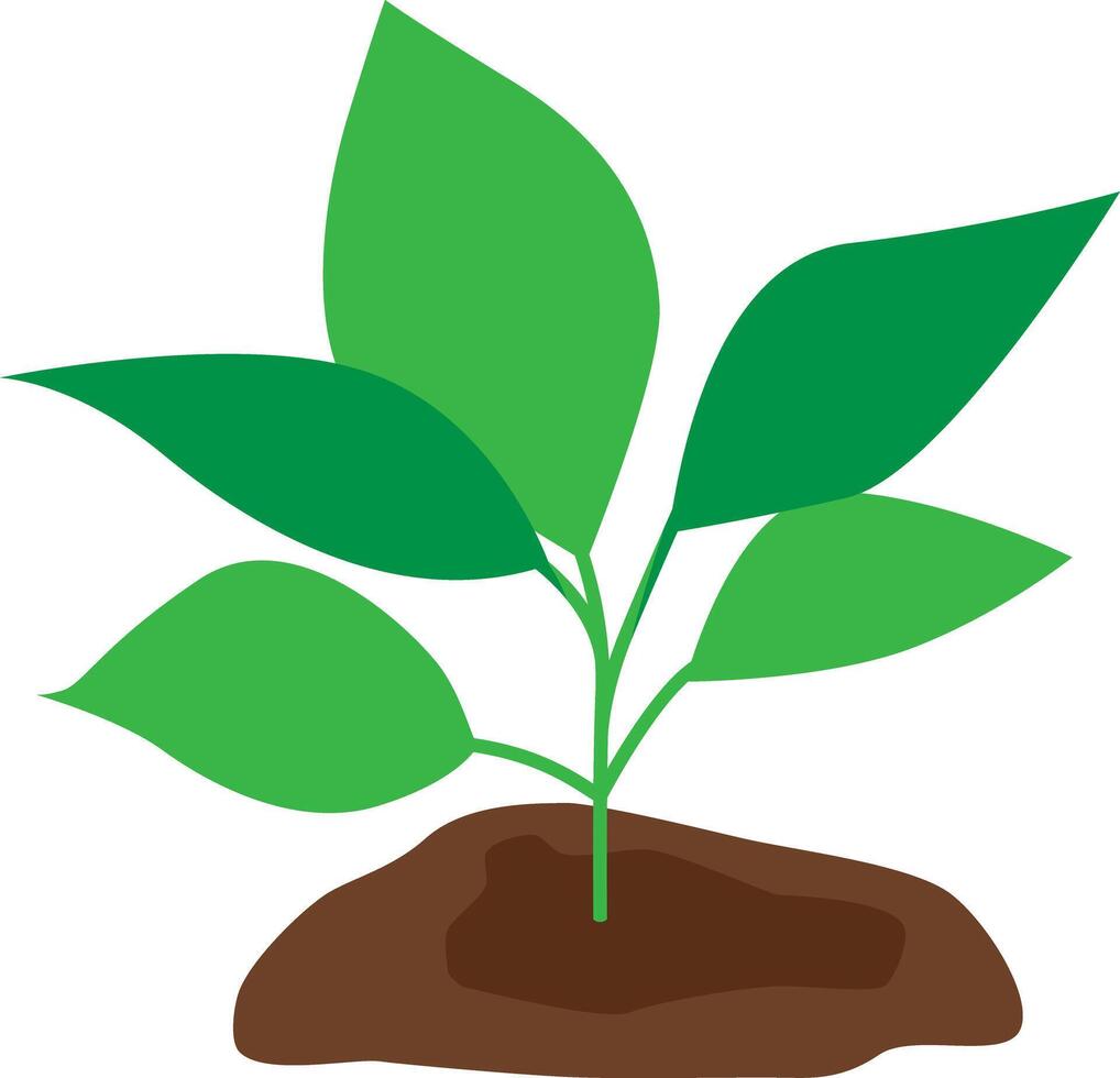 A green plant planted in the soil. vector