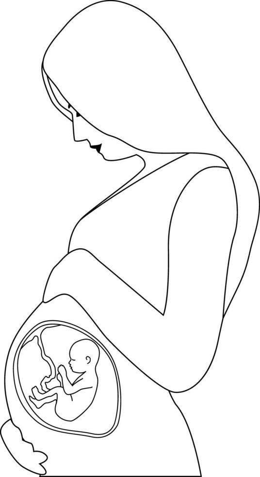 A pregnant woman touching her belly. A baby in the womb is in the fetal position with its head up. Outline style. vector