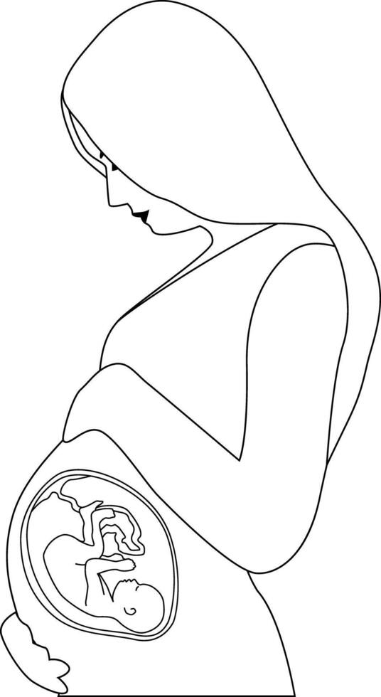 A pregnant woman touching her belly. A baby in the womb is in the fetal position with its head down. Outline style. vector